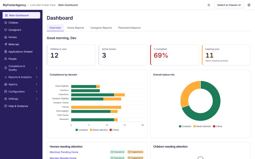 My Foster Agency dashboard showing agency-wide home and placement reports